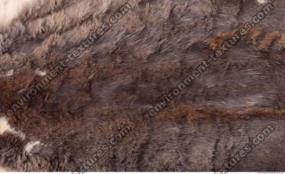 fur 0013